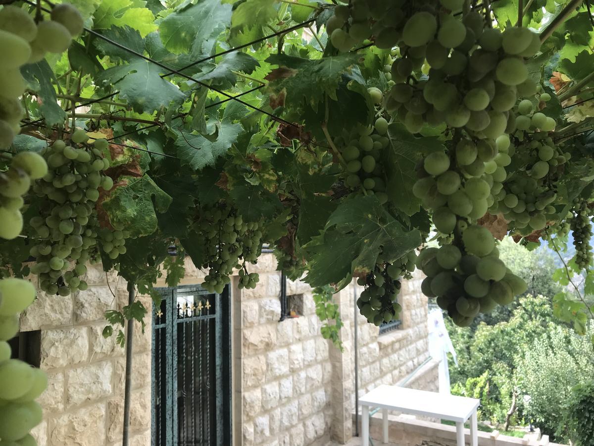 Mtolle Mresty Guest House מראה חיצוני תמונה